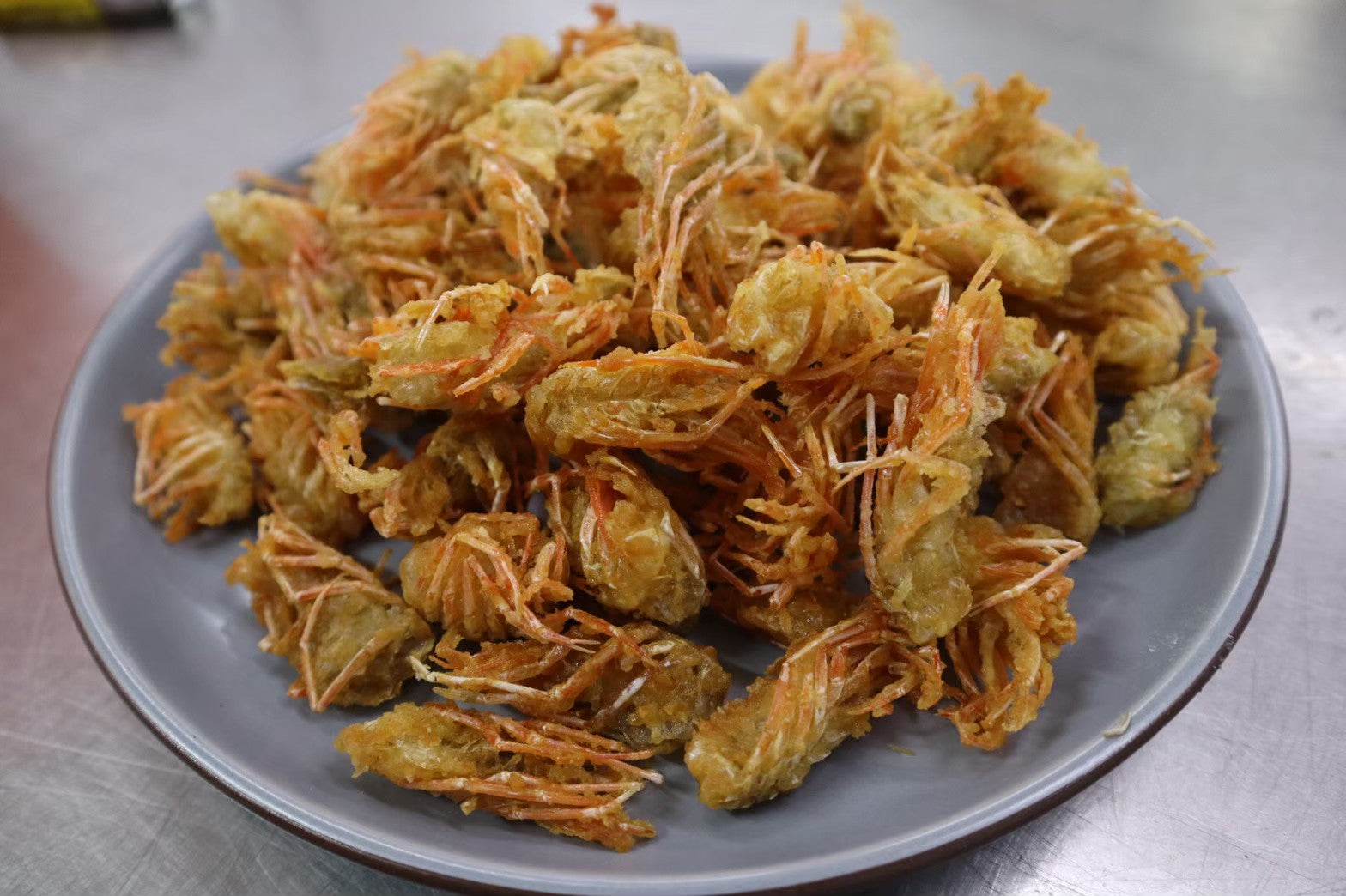 คางกุ้ง
