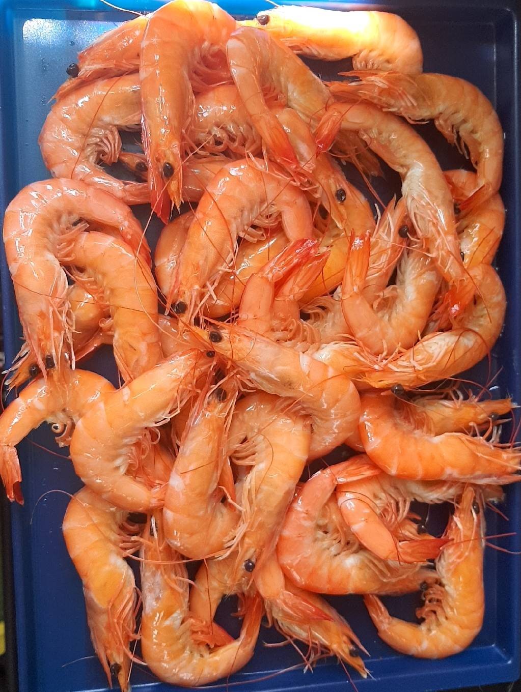 กุ้งขาว-กุ้งกุลาดำต้ม