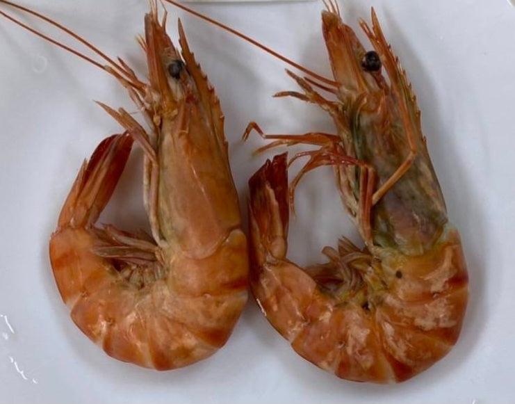 กุ้งขาว-กุ้งกุลาดำต้ม