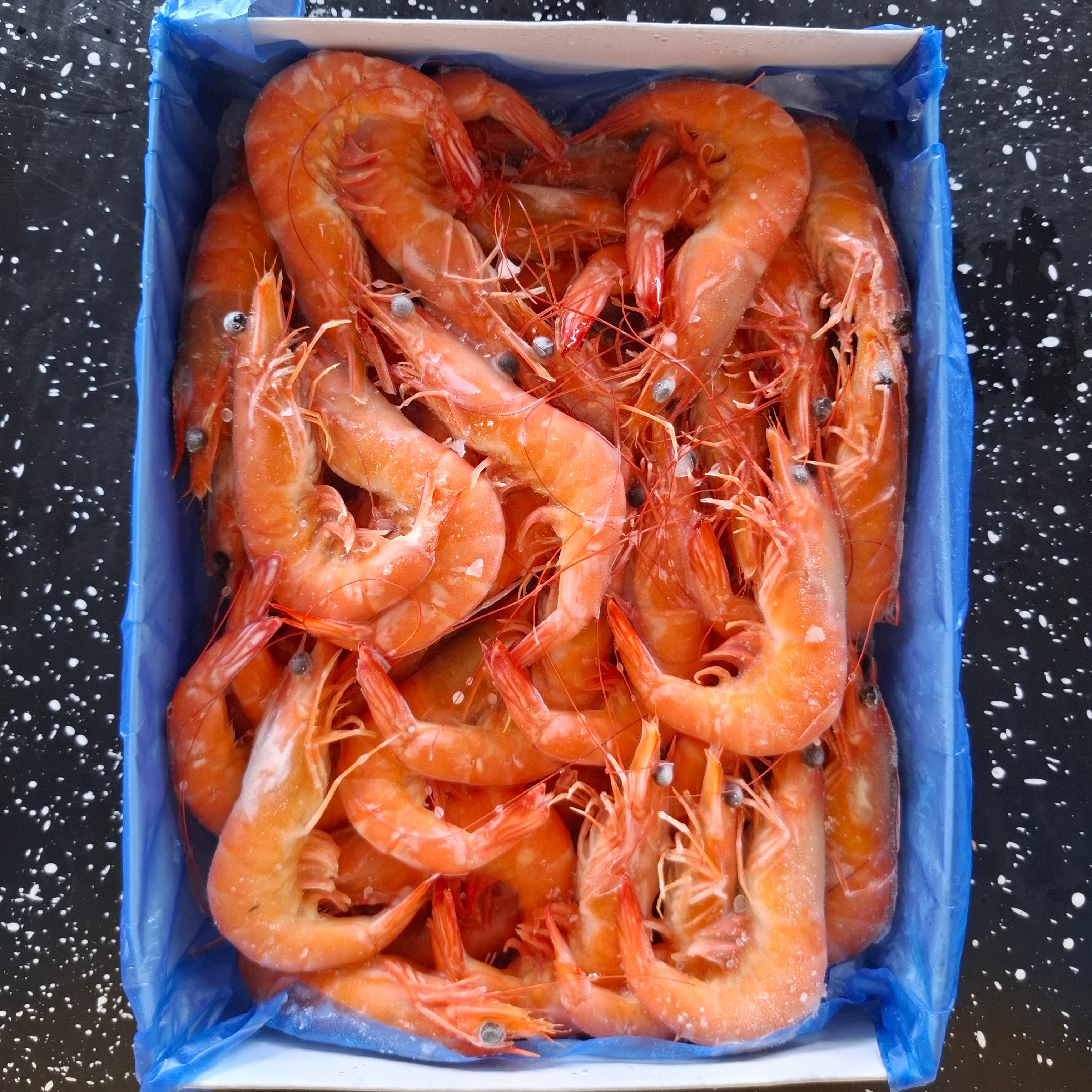 กุ้งขาว-กุ้งกุลาดำต้ม