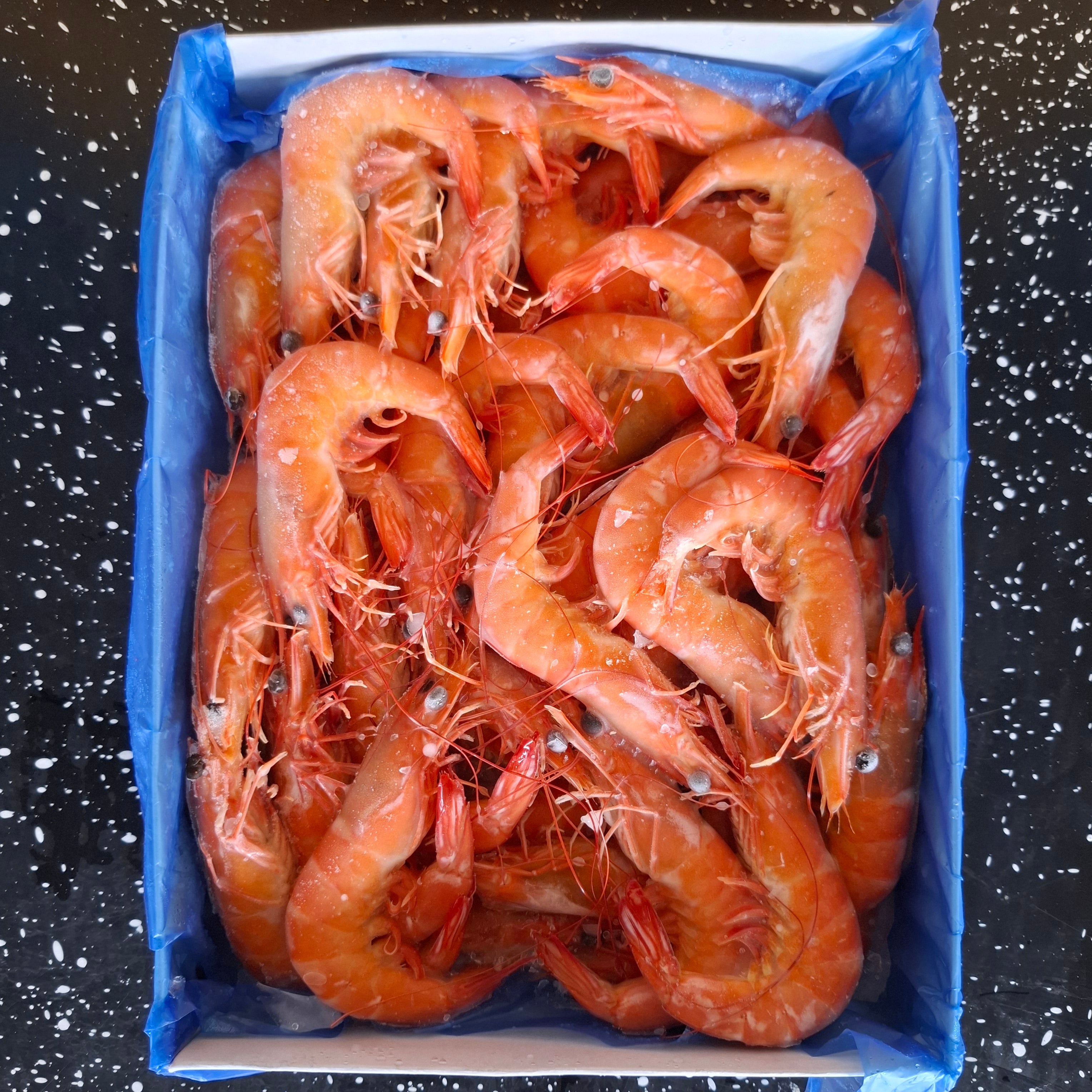 กุ้งขาว-กุ้งกุลาดำต้ม