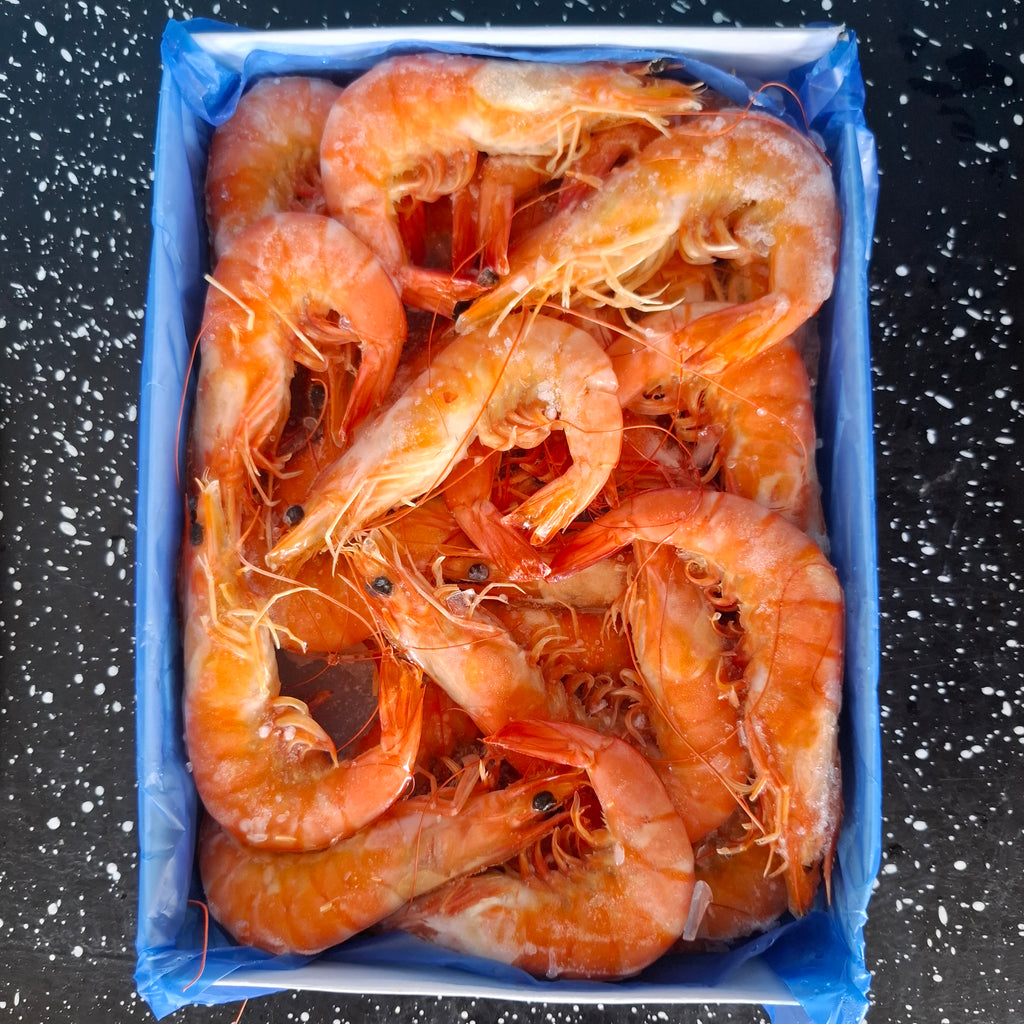 กุ้งขาว-กุ้งกุลาดำต้ม