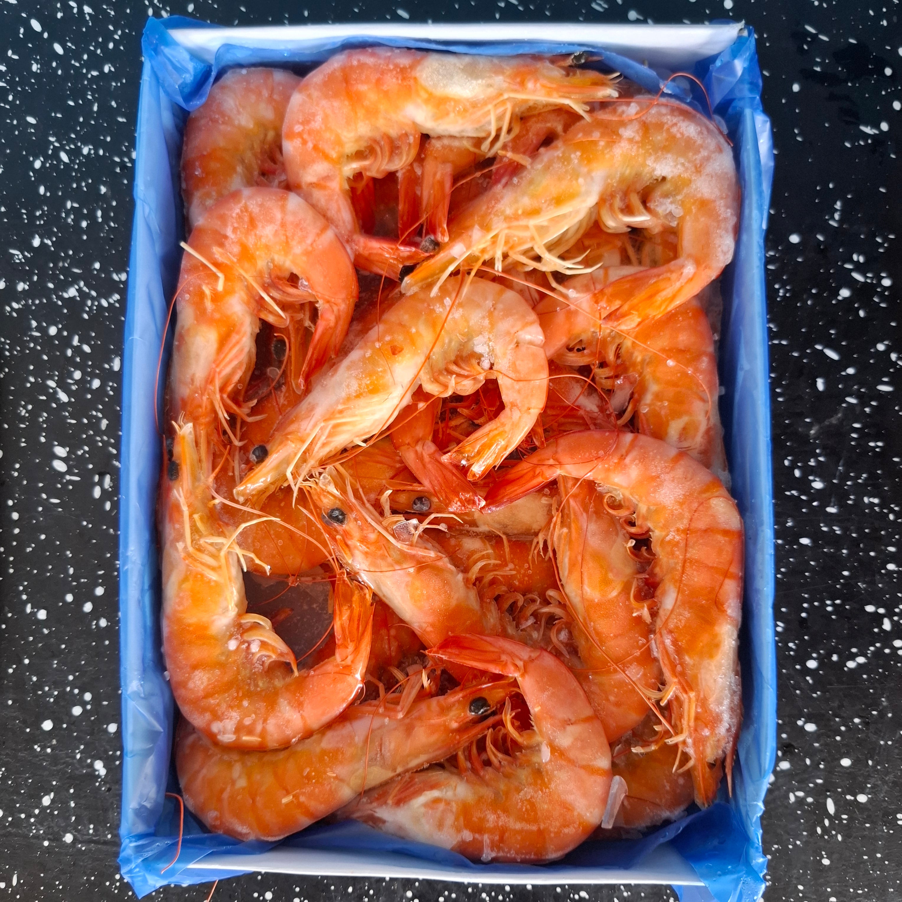 กุ้งขาว-กุ้งกุลาดำต้ม